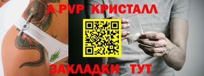 прущие грибы Кингисепп