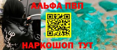 прущие грибы Кингисепп