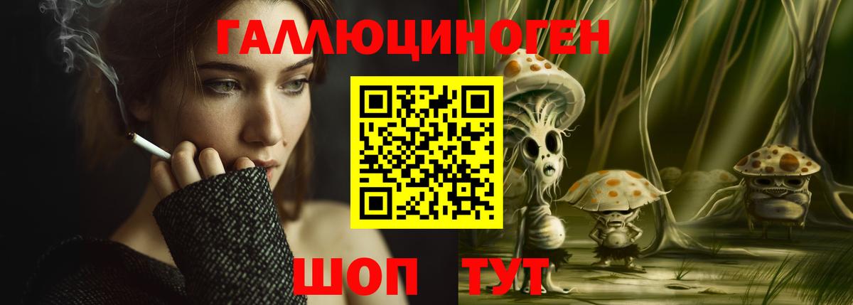 Псилоцибиновые грибы Psilocybine cubensis Красноуфимск